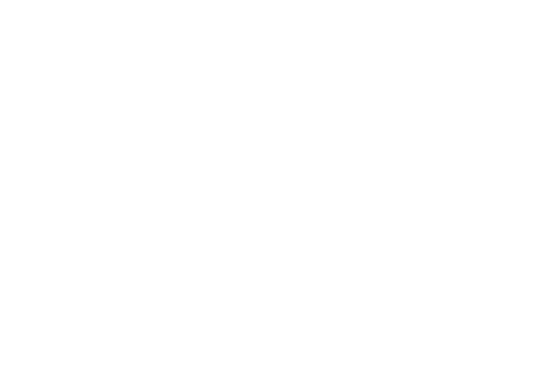 La Voute - restaurant ARLES